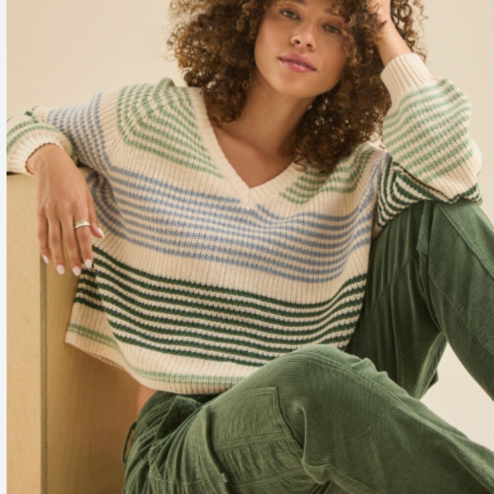 Striped Altard state sweater